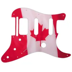 HSS PICKGUARD CANADIAN