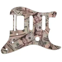 HSS PICKGUARD MONEY
