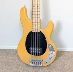 5-STRING BASS W/FENDER