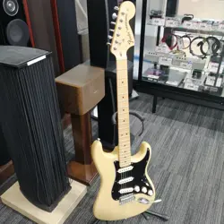 GUITAR/STRATOCASTER SAFE