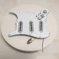 PICKGUARD SSS BURNS