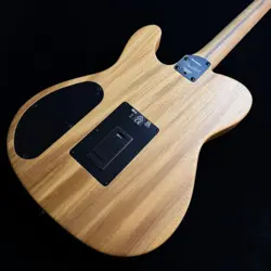 TELECASTER BK BRUSHED
