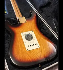 STRATOCASTER DELUXE ELECTRIC