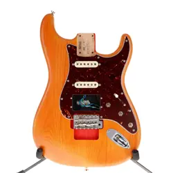 STRATOCASTER BODY MISSING
