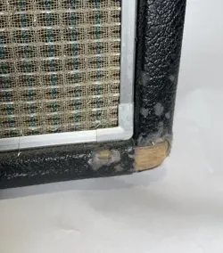 PRINCETON AMP SILVER