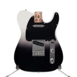 FENDER PLAYER PLUS TELECASTER BODY SILVER SMOKE FINISH FULLY LOADED!