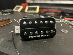 ZEBRA HUMBUCKER