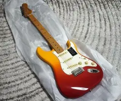 FENDER PLAYER PLUS STRATOCASTER NO.MG1980