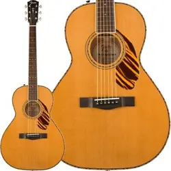 ACOUSTICS PS-220E