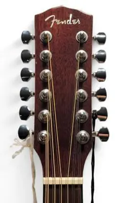 12-STRING CUTAWAY DREADNOUGHT