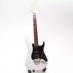STRATOCASTER WHITE-BLACK JIMI