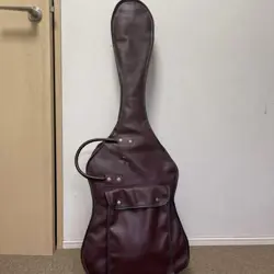 PICKUPS MAPLE FRETBOARD