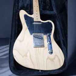 TELEMASTER ASH BODY
