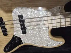 GATOR HARDSHELL CASE