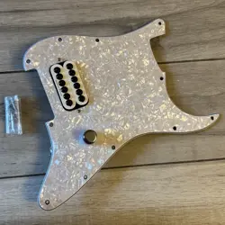 DELONGE STRATOCASTER LOADED