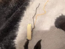 UNKNOWN FENDER MUSTANG-DUO SONIC NECK PICKUP 