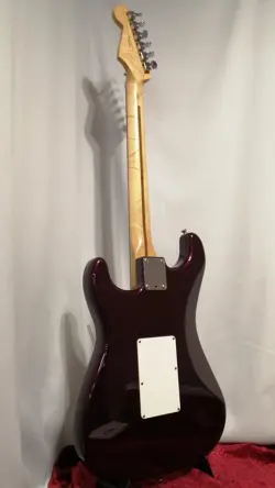 /FLOYD ELECTRIC GUITAR