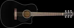 DREADNOUGHT GUITAR WALNUT