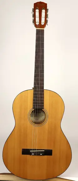 CLASSICAL GUITAR W/GIG