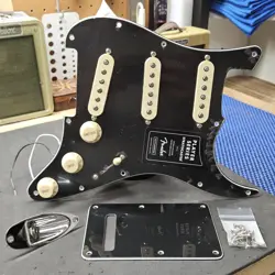 PICKGUARD ALNICO