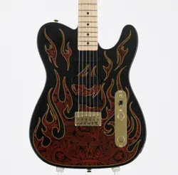 PAISLEY FLAMES N4944626