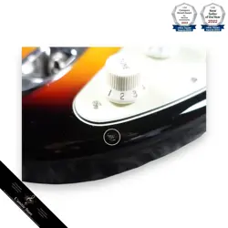 60S STRATOCASTER 3COLOR