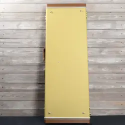 CASE STRATOCASTER/TELECASTER CASE