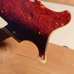 PICKGUARD 62