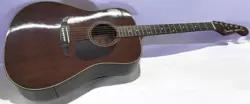 FENDER PORTER ACOUSTIC GUITAR WITH HARD CASE - USED, GOOD CONDITION
