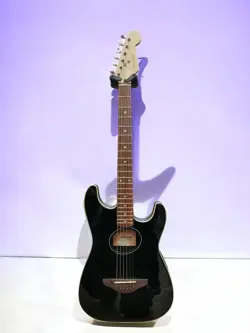 2009-2018 MODEL USED