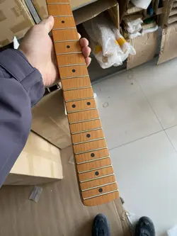 REPLACEMENT 21FRETS ELECTRIC