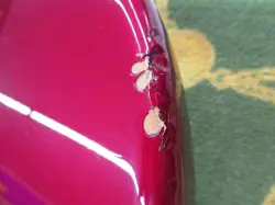 FENDER JAPAN JB75 JB75