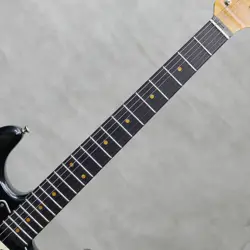 FENDER CUSTOM SHOP 2017 LTD BLACK ROASTED DUAL-MAG STRATOCASTER RELIC / 2022