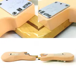 LIPSTICK STRATOCASTER SHELL