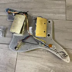 LOADED PICKGUARD TORTOISE