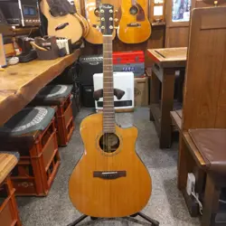FENDER GA45SCE ECO MANAGEMENT