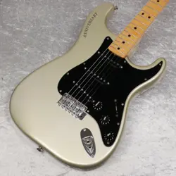 STRATOCASTER SHINJUKU NO.RG2725