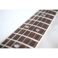 STRATOCASTER VINTAGE SPEC