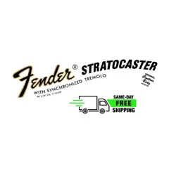 FENDER STYLE NEW