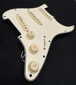 LOADEDPICKGUARD PICKUPS