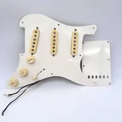 PICKGUARD 25010