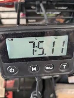 FENDER PLAYER II MUSTANG BASS GUITAR, ROSEWOOD FINGERBOARD, AQUATONE BLUE