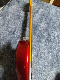 MUSTANG MUSTANG SAFE