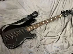 DELUXE PRECISIONBASS SAFE