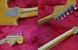 NATURAL SERIAL ELECTRIC