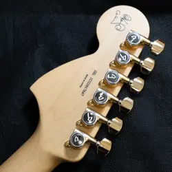 STRATOCASTER SIGNATURE MODEL