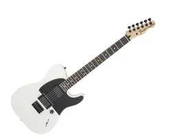 FENDER JIM ROOT SIGNATURE TELECASTER - FLAT WHITE W/ EBONY FB