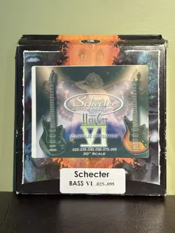 STRINGS FOR SCHECTER
