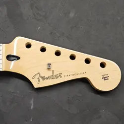 NICE 2020 FENDER