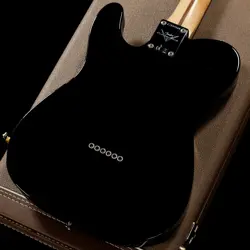 NOS BLACK PICKGURD/22FLET